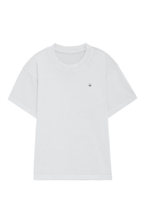 Dalix Mens Lil Alien Heavyweight Pigment Dye Tee
