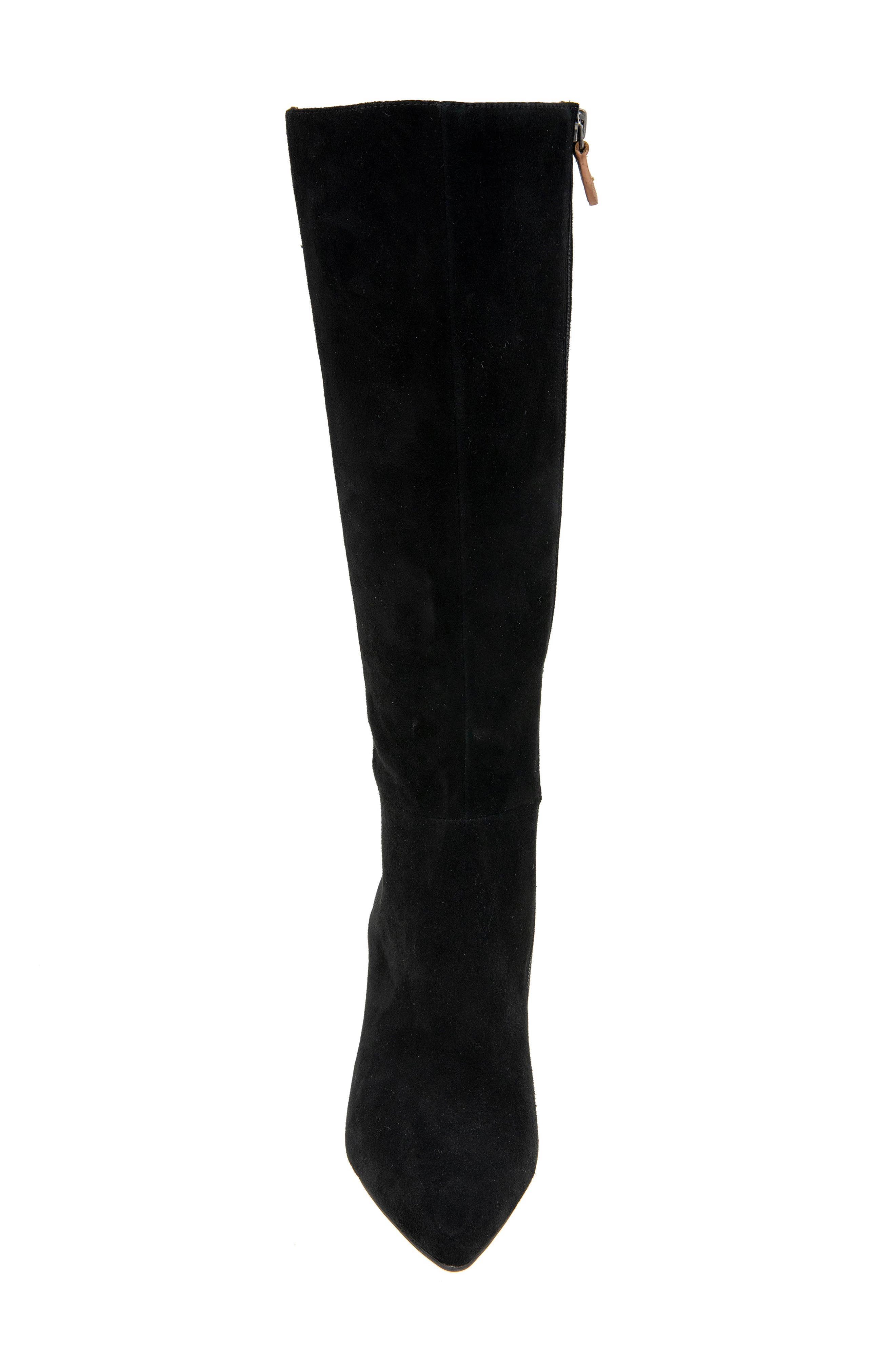 Gentle Souls Dionne Pointed Toe Knee High Boot, Alternate, color, 