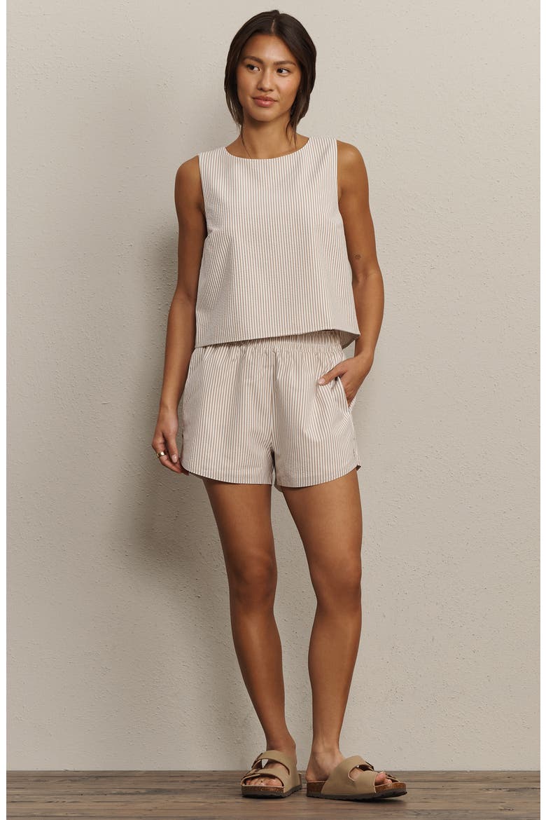 Saltair Boxy Tank, Alternate, color, TAUPE STRIPE