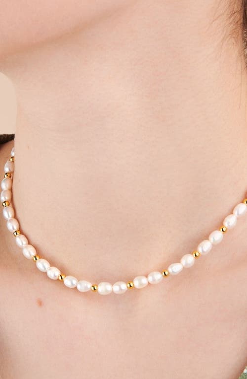 Little Sky Stone Zera Pearl Choker Necklace In Multi