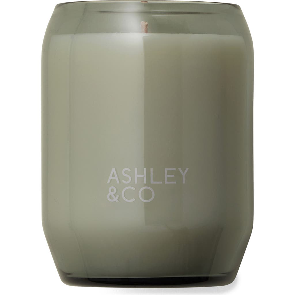 Ashley & Co Waxed Perfume Scented Candle In Green