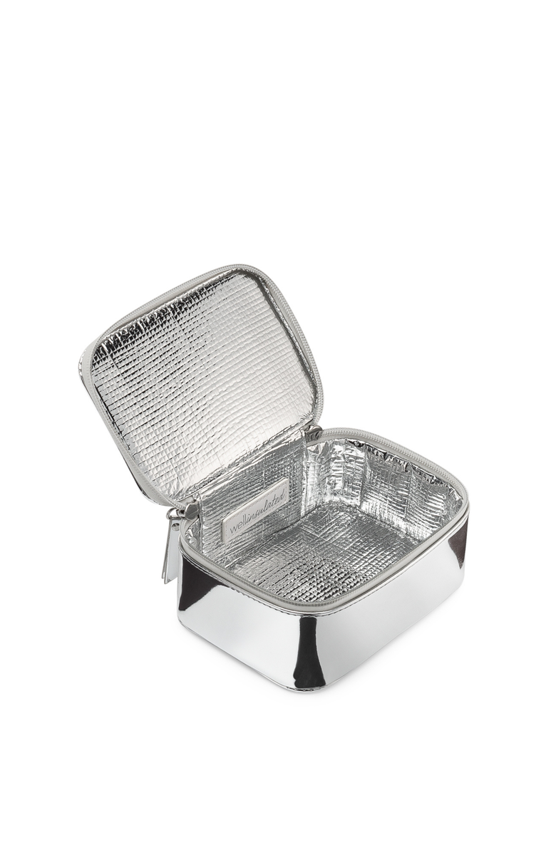 WELLinsulated Performance Mini Travel Case, Alternate, color, Silver