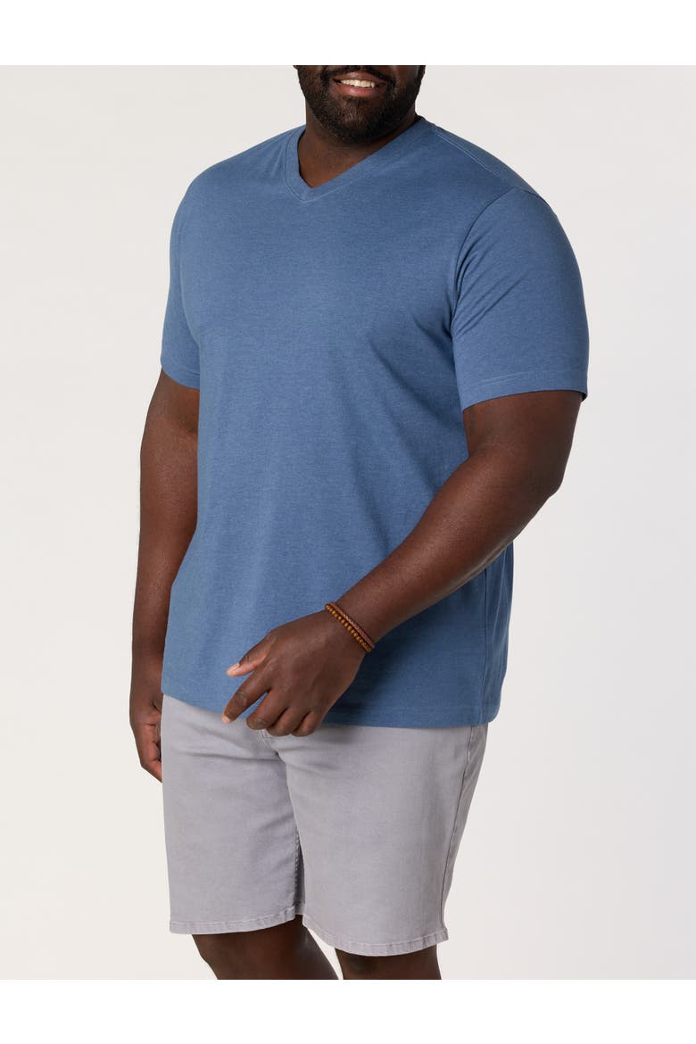 Big & Tall Moisture-Wicking Jersey V-Neck T-Shirt, Alternate, color, LIMOGES HTHR