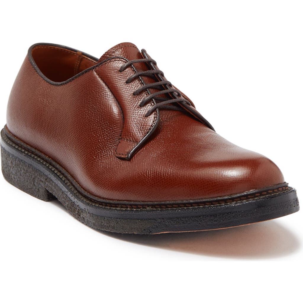 Alden Shoe Company Alden All Weather Plain Toe Derby In Brown