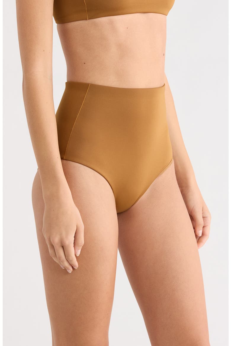 Hi Tide High Waist Bikini Bottoms, Alternate, color, TAN LINES BROWN