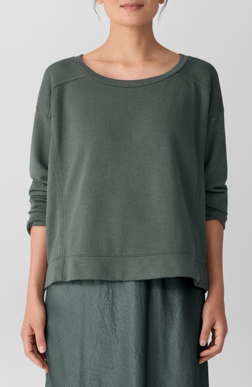 Eileen Fisher Ballet Neck Boxy Organic Cotton Sweatshirt In Green