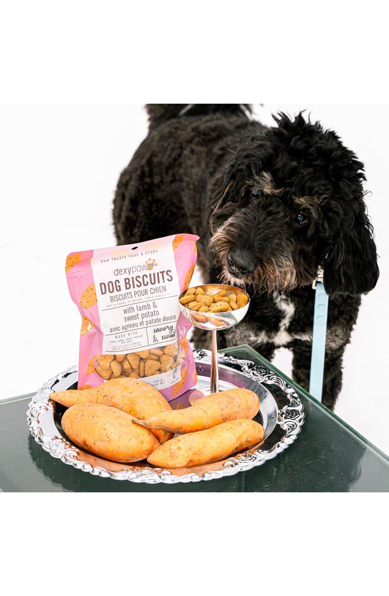 Dexypaws Lamb & Sweet Potato Dog Biscuits 12Oz Natural Pet Treats, Alternate, color, Brown