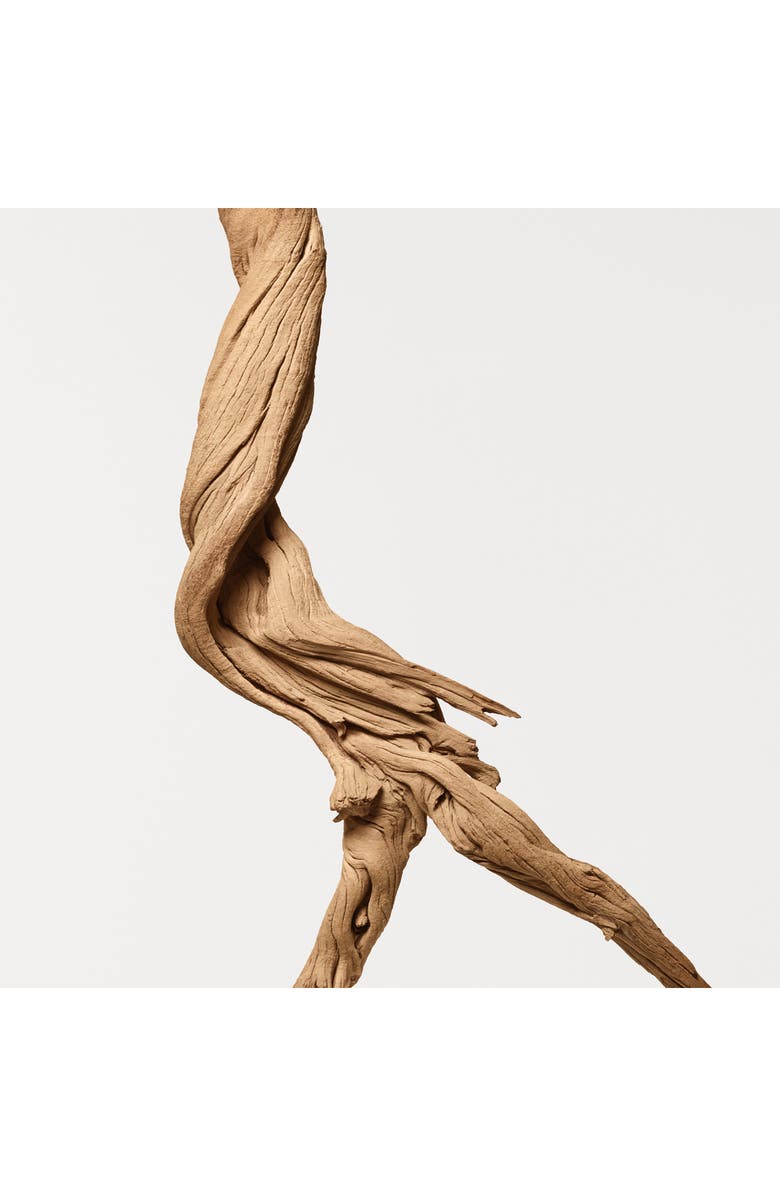 Donna Karan New York Cashmere Mist Eau de Parfum Gift Set $198 Value, Alternate, color,