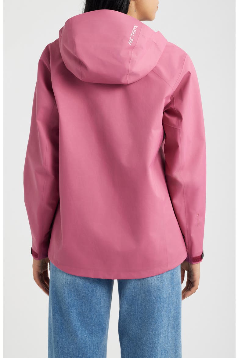 Beta Gore-Tex Waterproof Jacket, Alternate, color, LIGHT RENEGADE