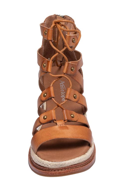 Antelope Dru Platform Espadrille Gladiator Sandal In Taupe