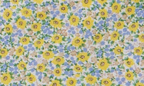Free The Roses Floral Sleeveless Midi Dress In Blue Multi