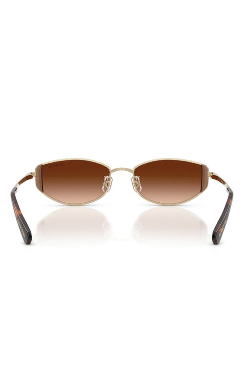 Swarovski 53mm Oval Sunglasses