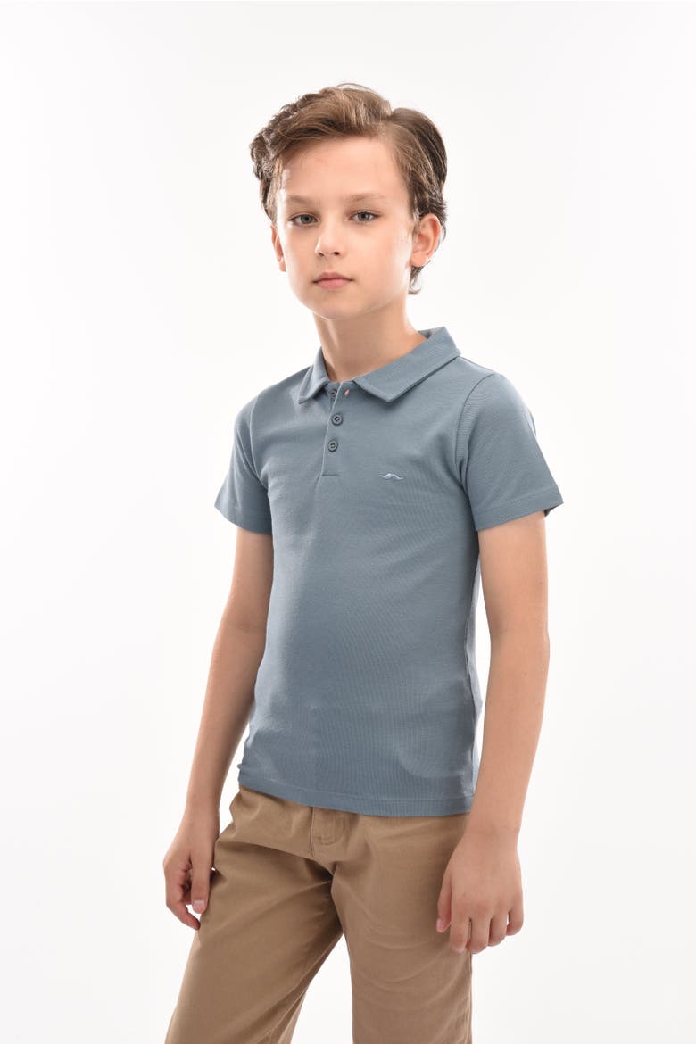 Solid Polo Shirt, Alternate, color, Blue