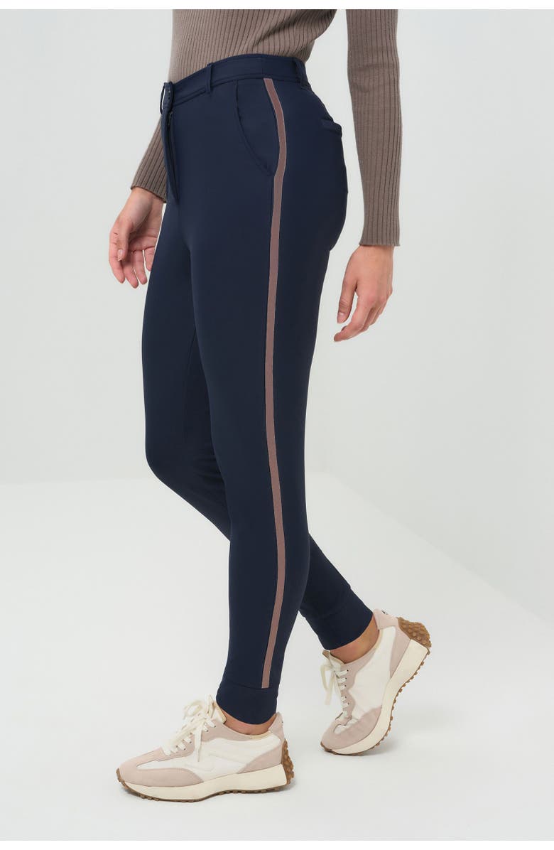 Anatomie Cozy Juniper Fleece Lined Jogger Pant, Main, color, Navy/Taupe