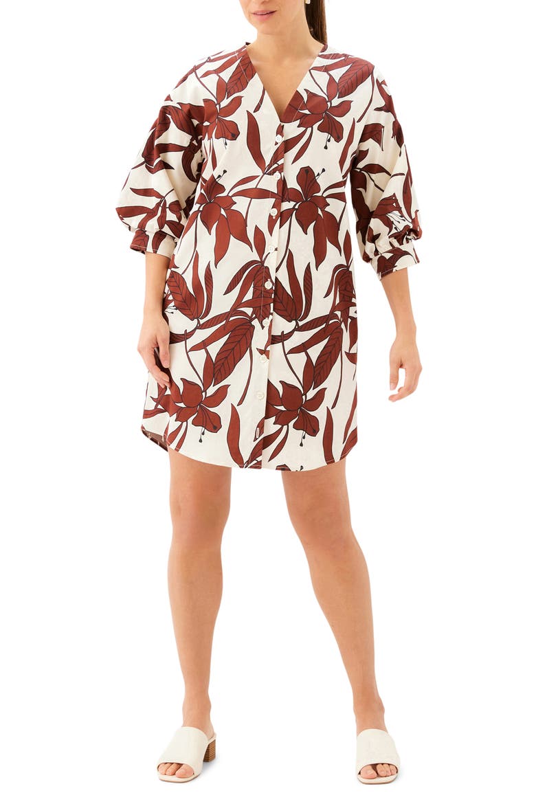 Lantern Sleeve Dress, Main, color, PRINT