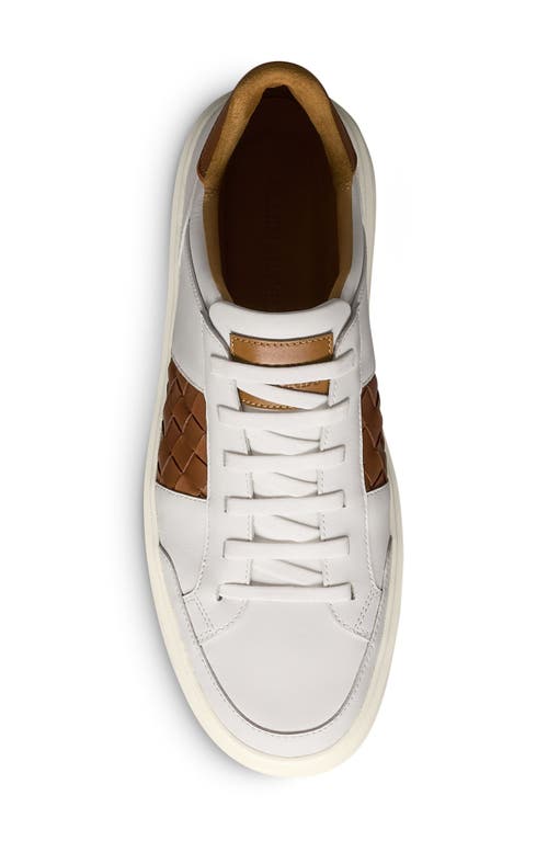 Allen Edmonds Oliver Woven Panel Sneaker In Brown