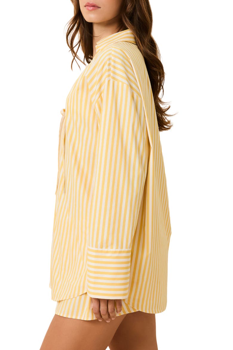 The Livia Stripe Tunic Dress, Alternate, color, LEMON DROP X BRULE