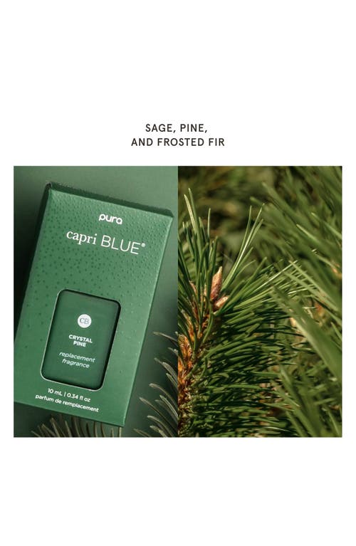Pura X Capri Blue Chestnut Embers 2-pack Smart Fragrance Diffuser Refills In Crystal Pine