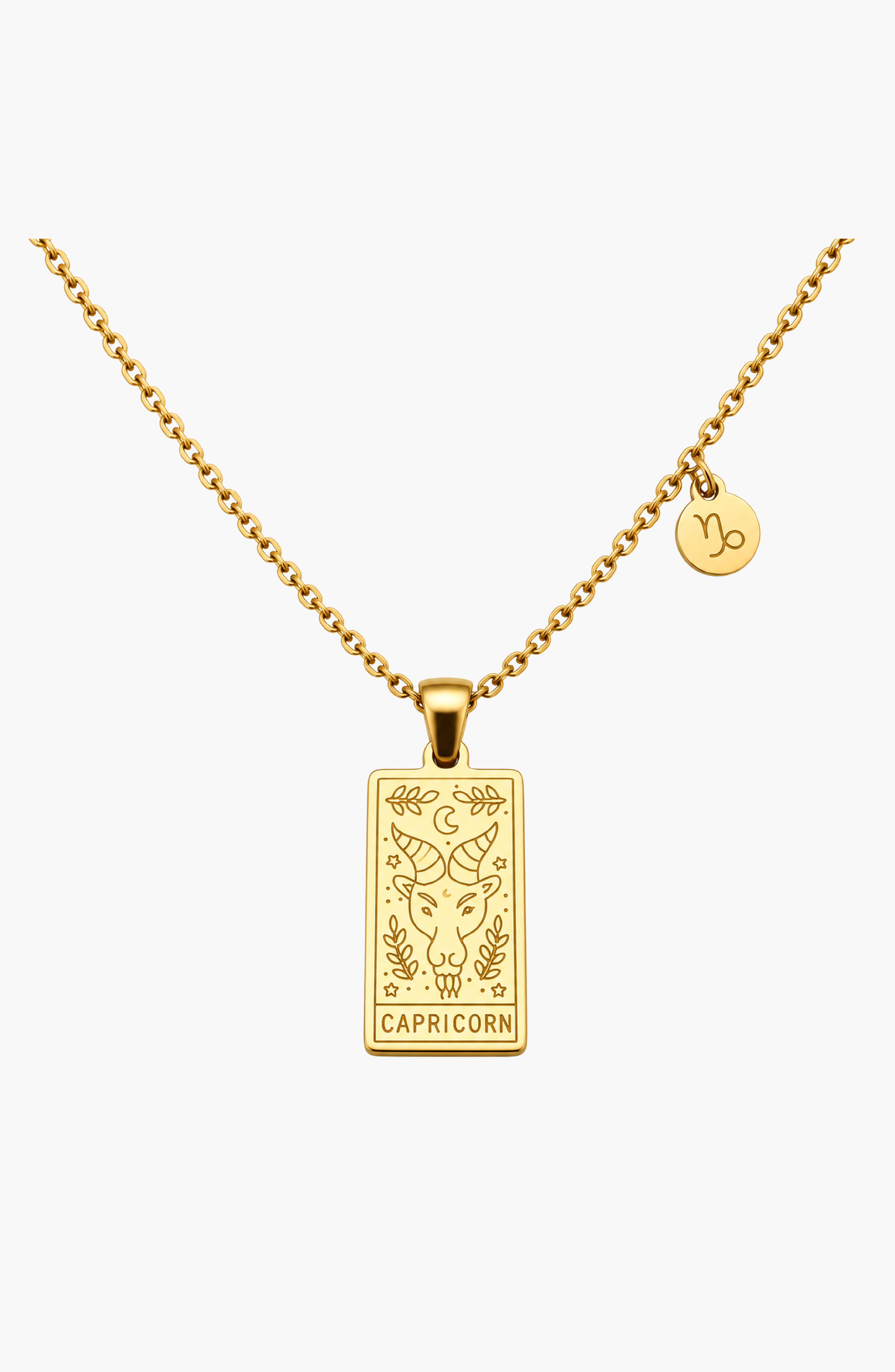 Capricorn