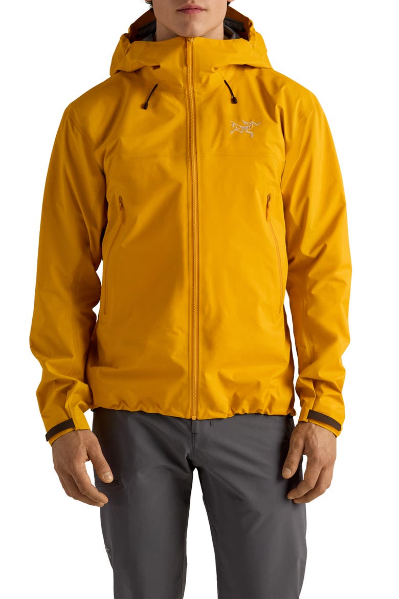 Beta SL GORE-TEX Hooded Jacket, Main, color, NUCLEUS