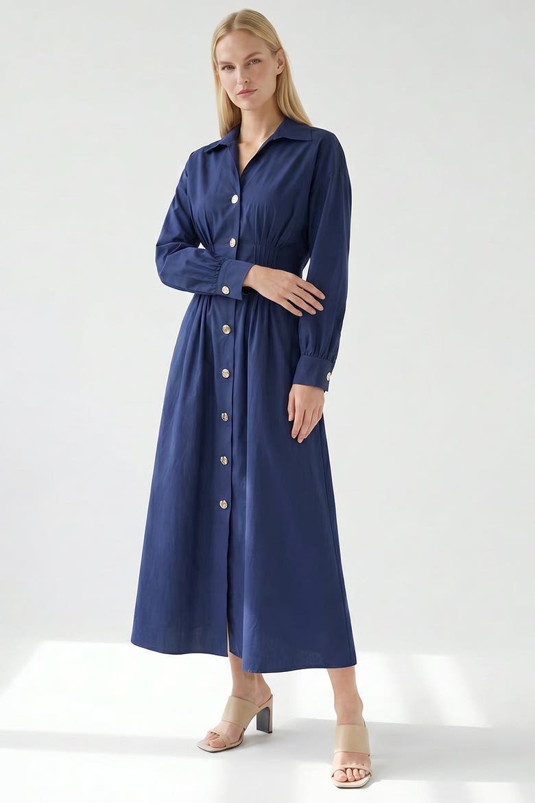 Delray Long Sleeve Buttoned Midi Dress, Alternate, color, Navy