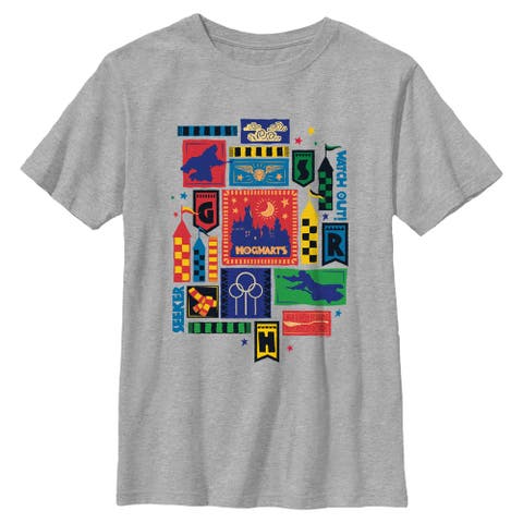 Boy's Harry Potter Quidditch Collage  Graphic T-Shirt