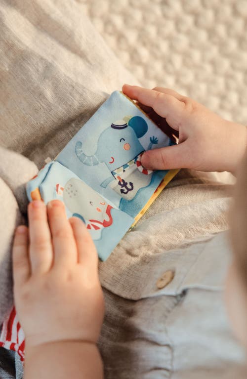 Bababoo And Friends® Bababoo Lion Character Book & Plush Set In Multi