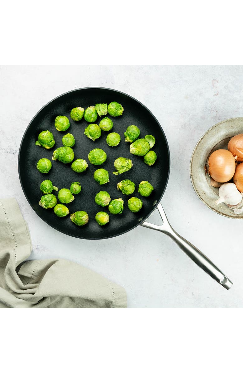 Scanpan CS+ 12.5-Inch Nonstick Fry Pan, Alternate, color, Silver