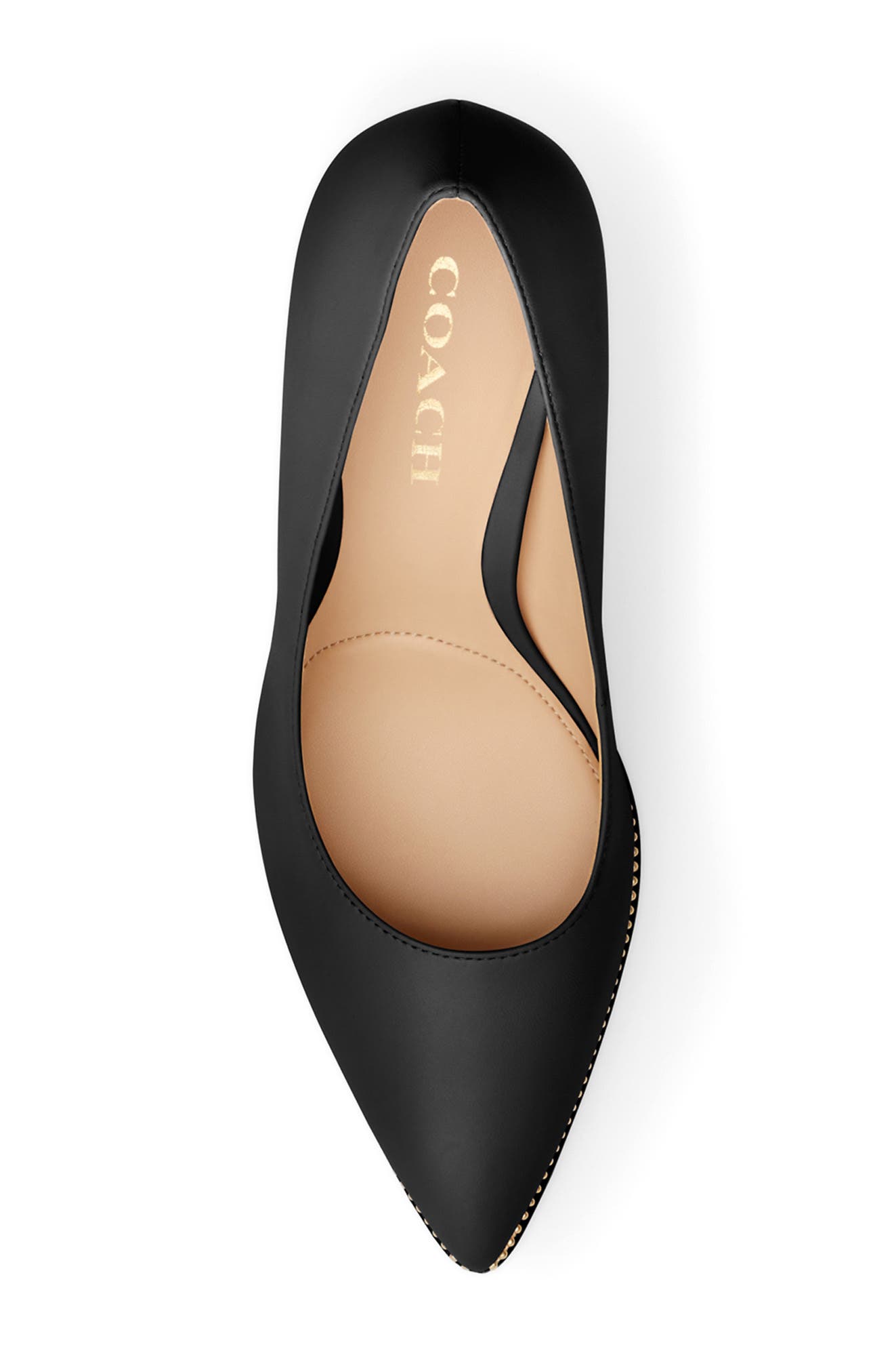 COACH Samantha Pointed Toe Pump, Alternate, color, 