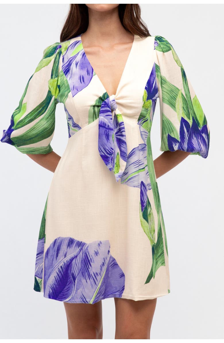 White Closet V-Neck Mini Dress Sweet Iris, Alternate, color, White