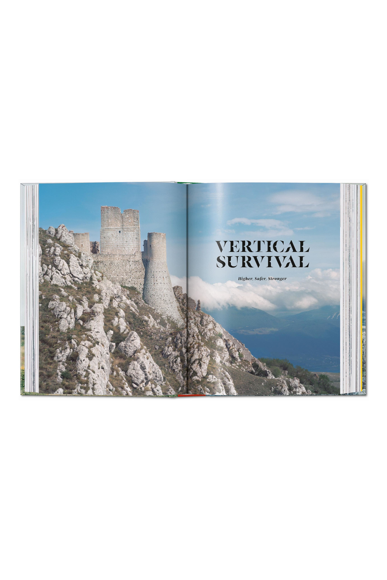 Frédéric Chaubin Stone Age 45th ed English French German Book, Alternate, color, White