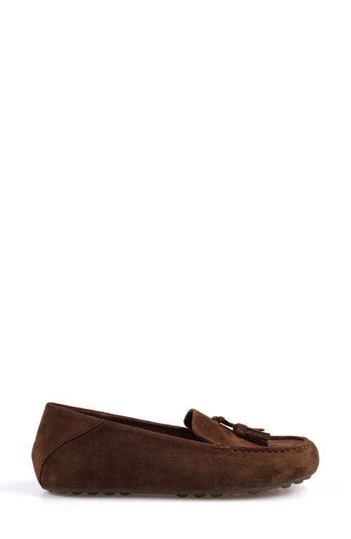 Artisan Crafted By Zigi Patsy Tassel Loafer In Tanse