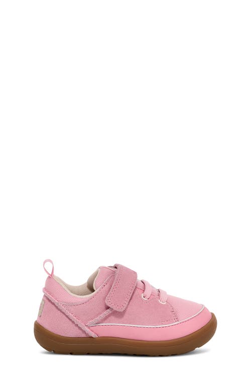 Ugg(r) Kids' Adventurer Sneaker In Pink Quartz