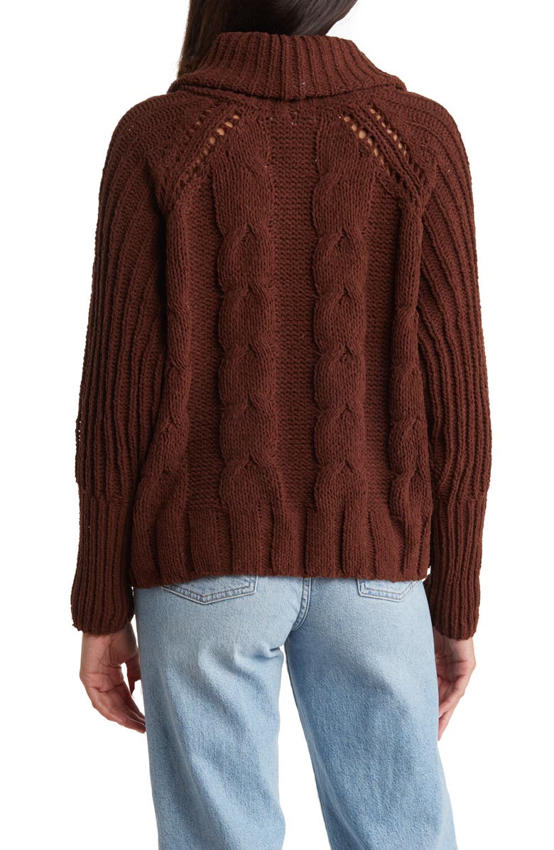 DR2 by Daniel Rainn Turtleneck Crop High-Low Sweater, Alternate, color, Chocolate