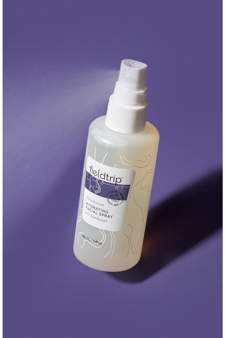 Wandermist Hydrating Facial Spray, Alternate, color, NO COLOR