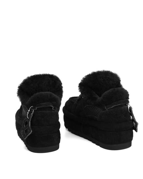 Naked Wolfe Beau Suede Boot In Black