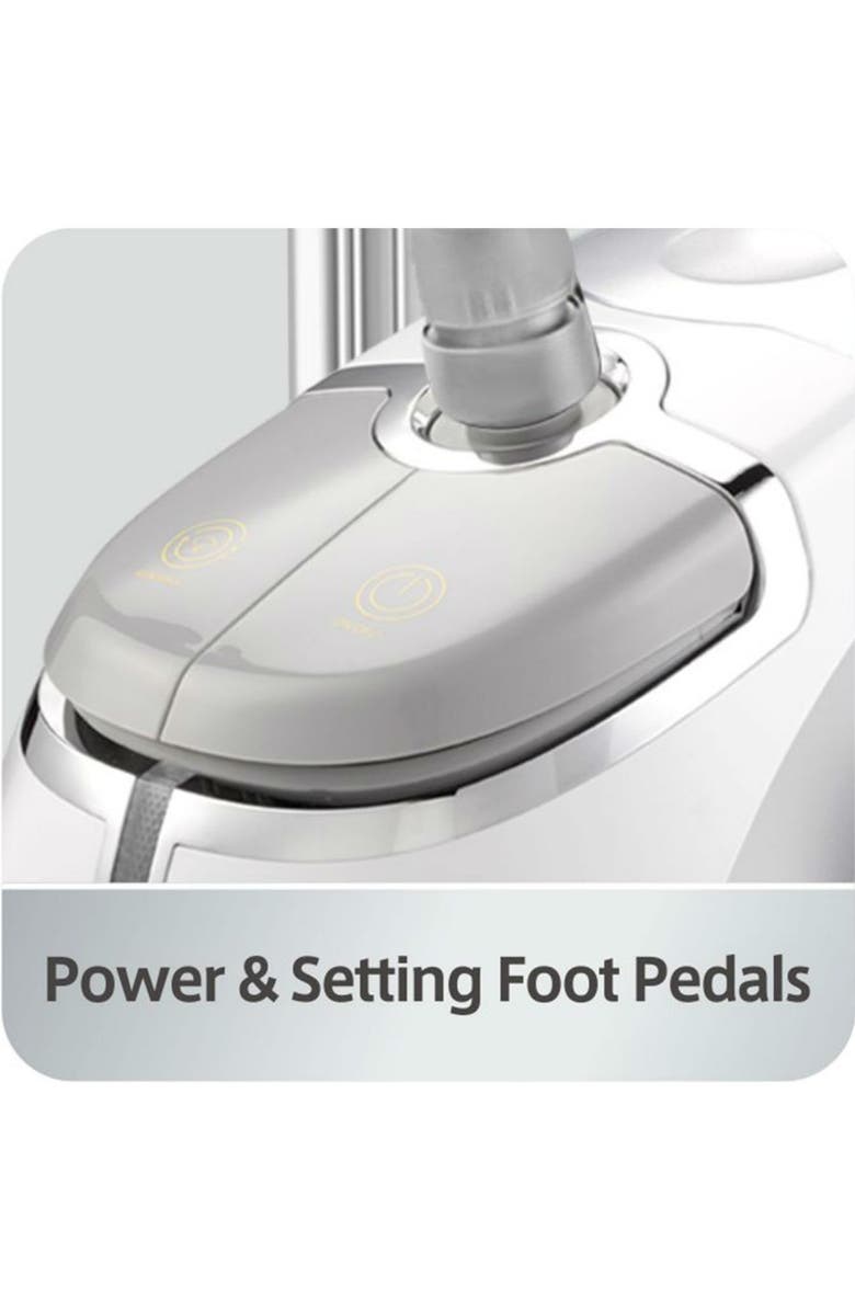 SALAV Silver Professional Series Dual Bar Garment Steamer, Alternate, color, Silver