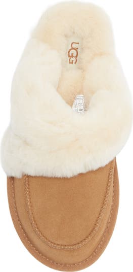 Loria Genuine Shearling Lined Slipper