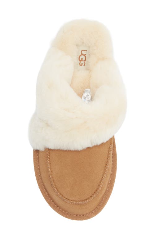 Ugg ® Loria Genuine Shearling Lined Slipper In Brown