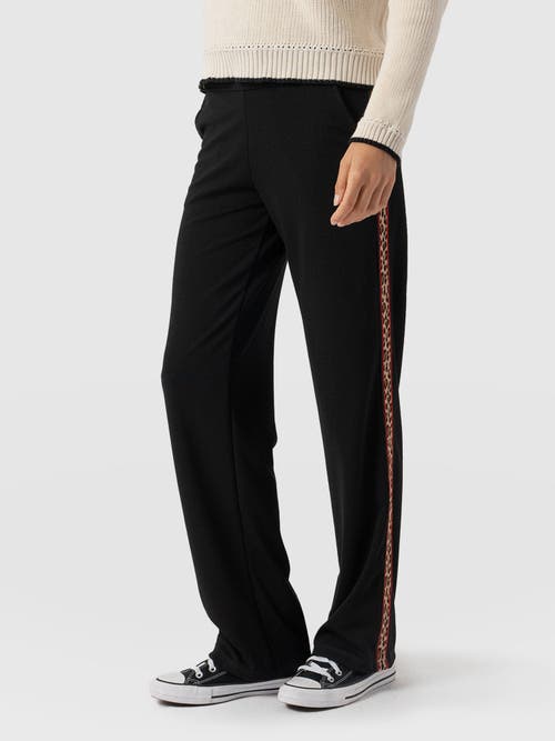 Shop Saint + Sofia Runway Pant