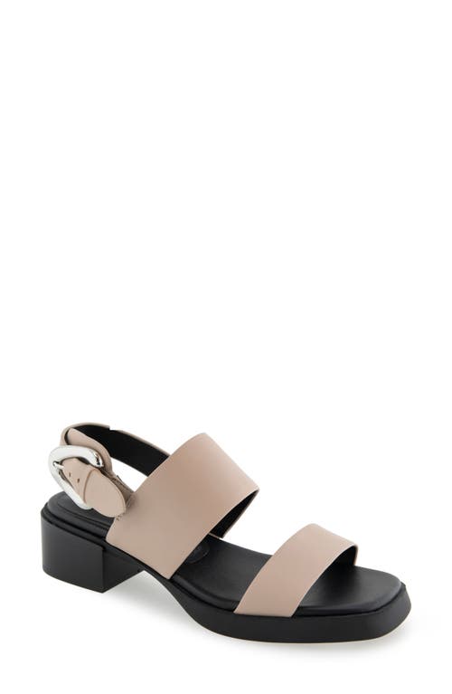 AEROSOLES AEROSOLES DANTAY SLINGBACK SANDAL
