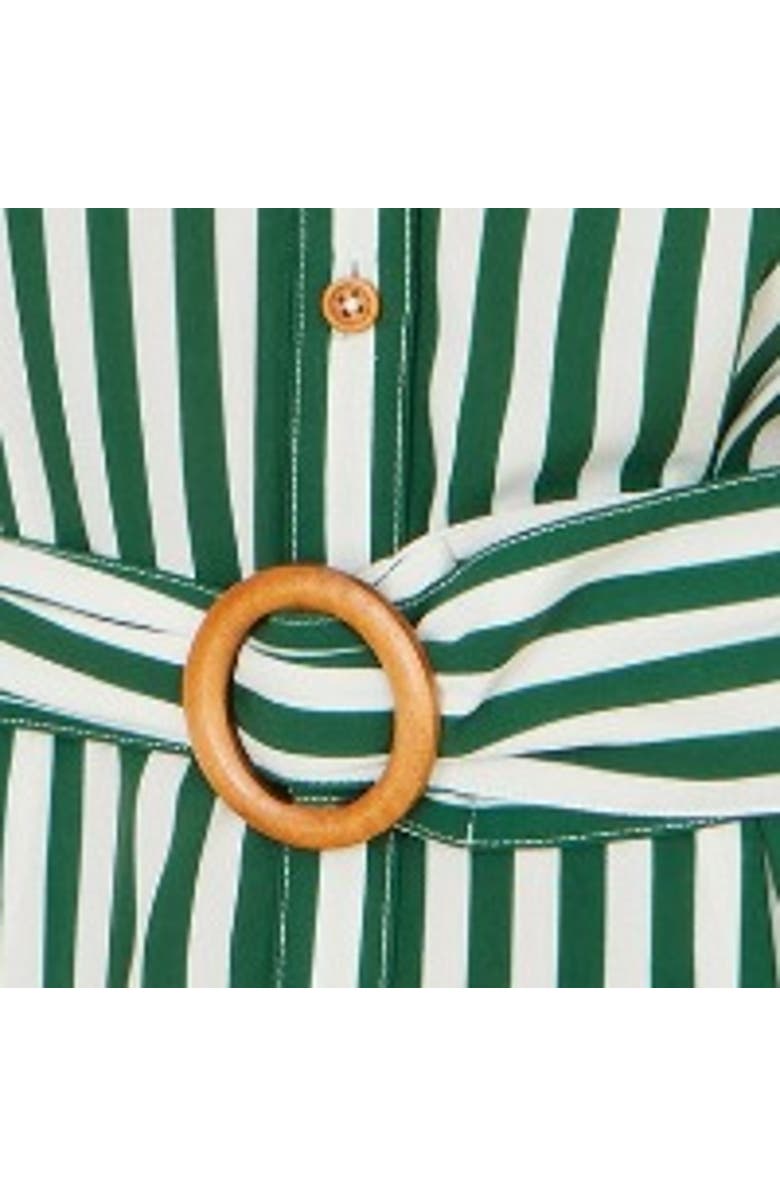 Yumi Stripe Print Belted Midi Shirt Dress, Alternate, color, Green