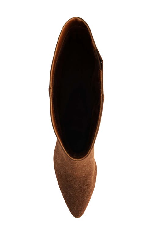 Coconuts By Matisse Willow Pointed Toe Knee High Boot In Brown