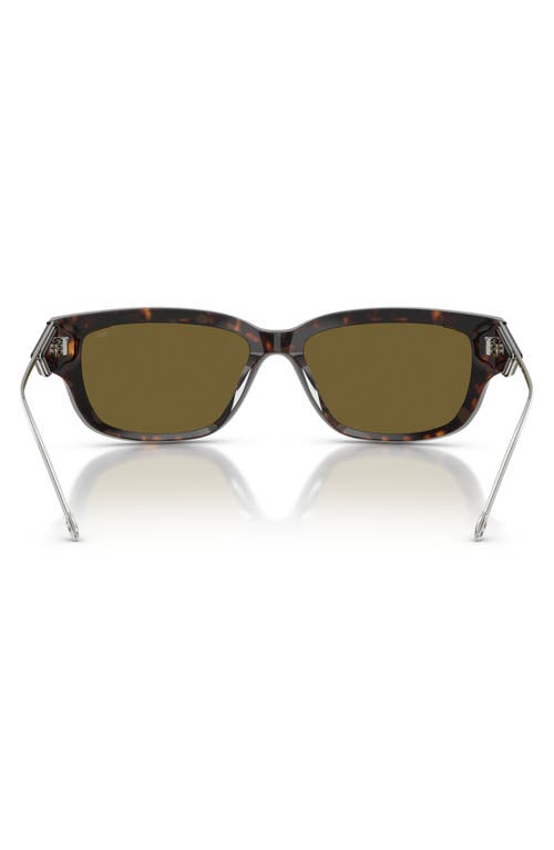 Diesel ® Geck-d 56mm Rectangular Sunglasses In Shiny Dark Havana/brown