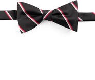 Synrgy by DXL Big & Tall Traditional Striped Bow Tie