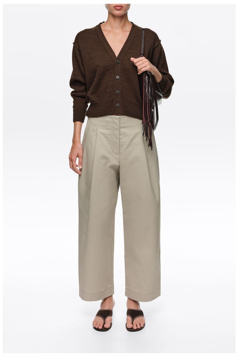 Straight-Leg Pleated Trousers, Alternate, color, LIGHT STONE