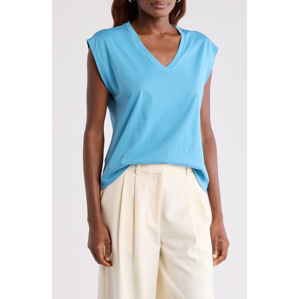 Nordstrom V-neck Pima Cotton T-shirt In Blue