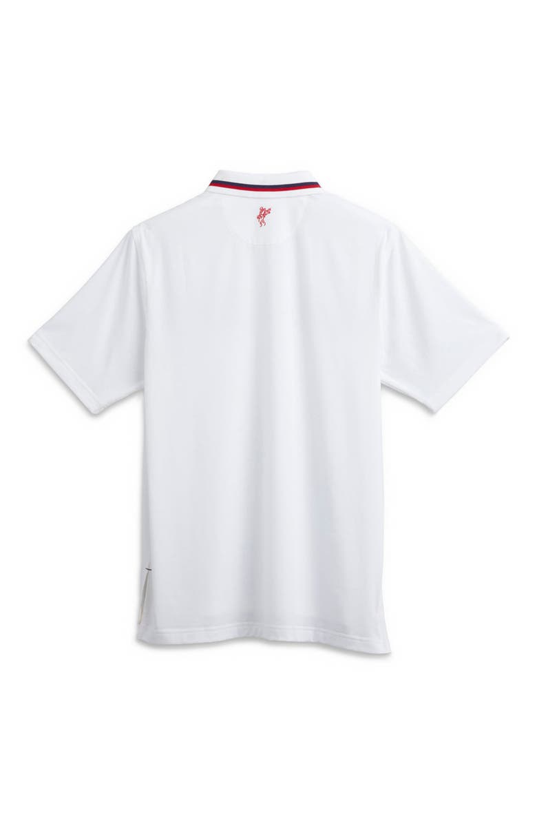 ASHWORTH GOLF Oceanside Polo, Alternate, color, White/Multi