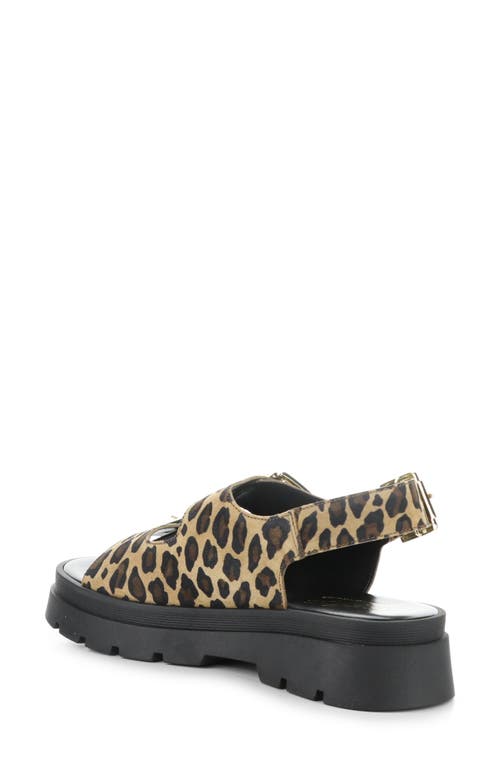 Bos. & Co. Cipher Slingback Platform Sandal In Leopard
