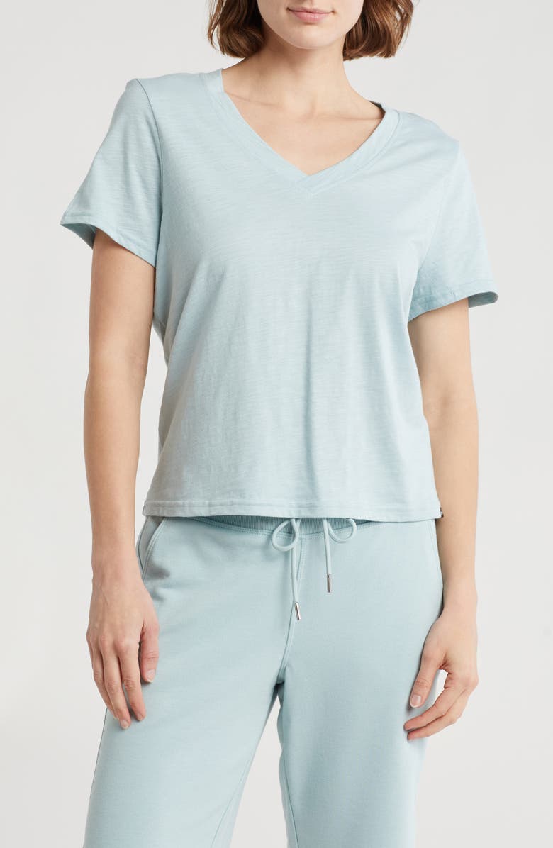 DKNY V-Neck Slub Jersey T-Shirt, Main, color, 